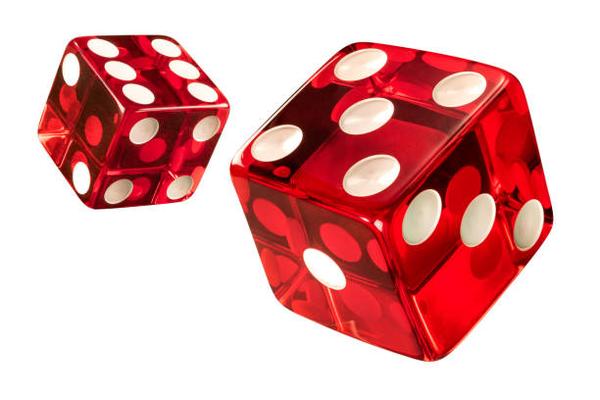 Understand Digital Casino Navigation and Game Categories at 바카라사이트